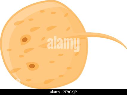 Wild stingray icon. Cartoon of Wild stingray vector icon for web design isolated on white background Stock Vector