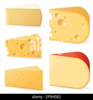Various types of cheese. Stock Vector