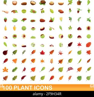 100 plant icons set. Cartoon illustration of 100 plant icons vector set isolated on white background Stock Vector