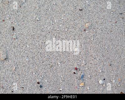 Closeup of sand and shells on beach Stock Photo