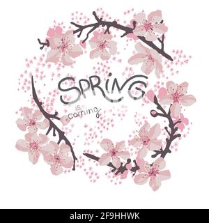 Sakura blooming, cherry tree blossom spring banner Stock Vector