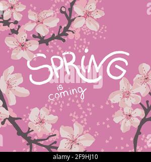 Spring is coming, cherry tree blossom on banner Stock Vector