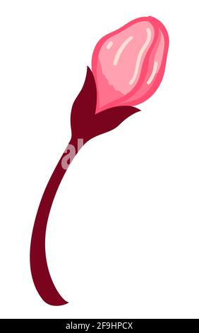Sakura blooming, cherry tree blossom in spring Stock Vector