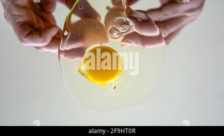 Cracking chicken egg on transparent surface. Stock Photo