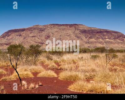 Mt Bruce (Punurrunha) 1235m is Western Australia's second-highest mountain, Karijini National Park Stock Photo