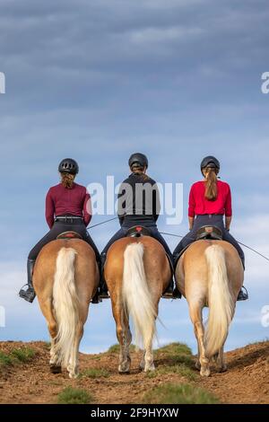 Three girls riding on Haflinger Horses, seen from the rear. Germany Stock Photo