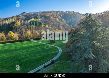 Top view of two diverging paths in a grassy field. Stock Photo