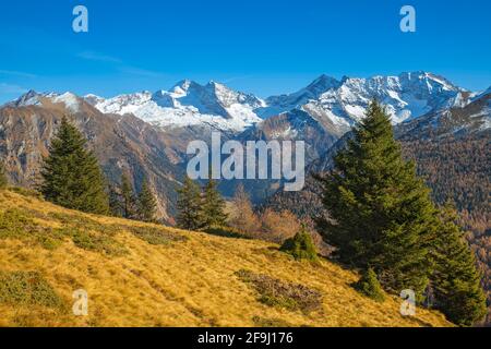 Mountain landscape on the Padauner Kogl in autumn, in background the peaks Olperer, Fussstein, Schrammacher and the Hohe Wand. Tyrol, Austria Stock Photo