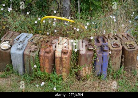 Row of Old Rusty Jerry Cans, Jerrycans or Jerricans, Metal Petrol Cans or Fuel Containers Covered in Bindweed Stock Photo