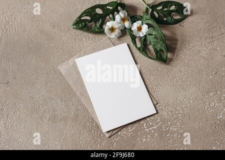 Tropical summer stationery mock-up scene. Blank greeting card, invitation with craft envelope and green monstera plant leaves. White primrose flowers Stock Photo