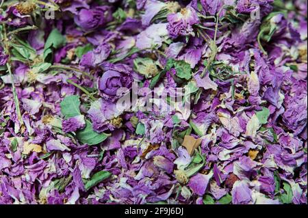 Vibrant dry rose buds petals at a traditional herbalist market stall, aromatic ingredient used in beauty rituals, dried and pressed in essential oils Stock Photo