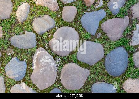 cobblestone road surface, with growing green grass between the stones. street texture Stock Photo