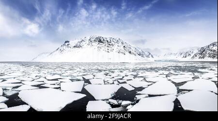 Panorama of the pristine mountains and floating pack ice, in the Fjords of Svalbard, a Norwegian archipelago between mainland Norway and the North Pol Stock Photo