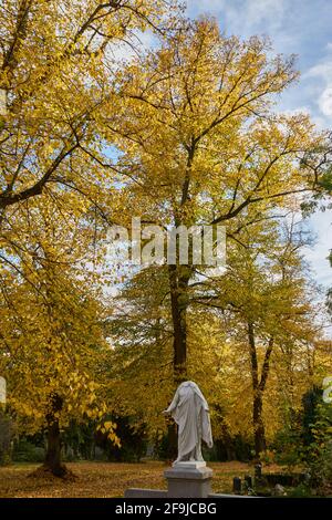 Grabmal mit beschädigter Statue einer Frau, Frau ohne Kopf, Bäume im Herbstlaub, Luisenstädtischer Friedhof, Kreuzberg, Berlin, Deutschland Stock Photo