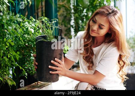 Happy beautiful young woman decorating house porch with potted plants Stock Photo