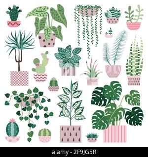 House Plants Cacti and Succulents Flower Pots Stock Vector