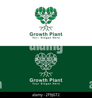 logo design growth plant green vector Stock Vector