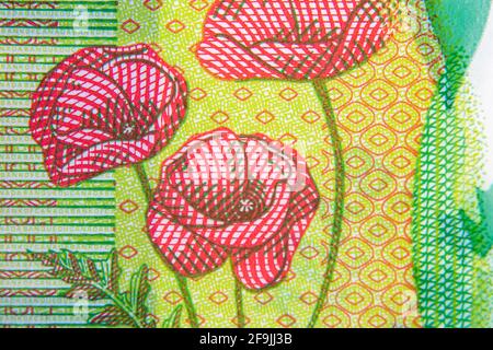 Macro of the poppies flowers printed on a twenty Canadian dollars plastic banknote Stock Photo