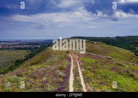 Rural summer landscape Stock Photo