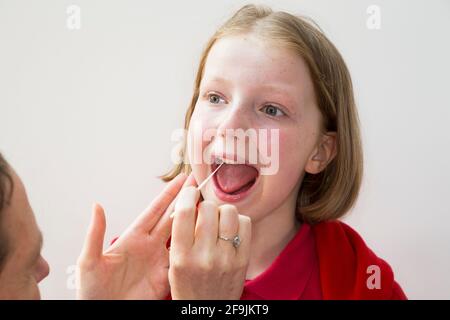 School age kid child primary school girl of 11 years / year old having samples taken from her throat for use in a lateral flow test LFT from the Chinese company Innova. England UK. (123) Stock Photo