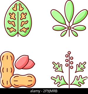 Reason for allergy RGB color icons set Stock Vector