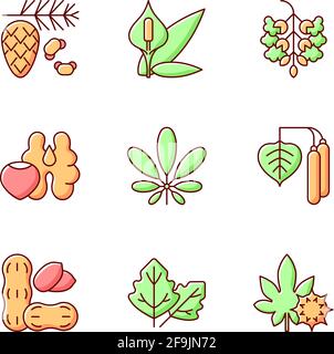 Allergens and allergy causes RGB color icons set Stock Vector