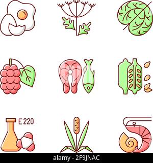 Allergy danger RGB color icons set Stock Vector
