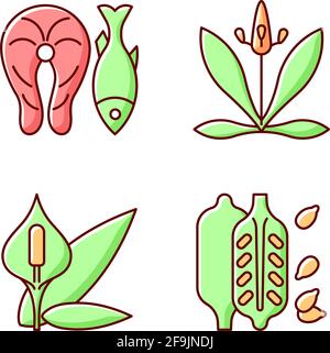 Common allergens RGB color icons set Stock Vector