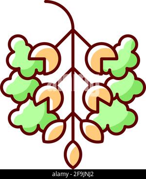 Poplar tree pollen RGB color icon Stock Vector