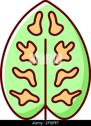 Dieffenbachia RGB color icon Stock Vector