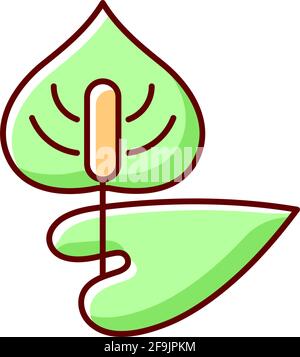 Anthurium RGB color icon Stock Vector