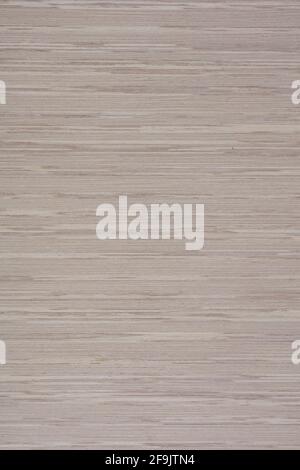Light Grey Lati veneer background, new texture in beautiful color for your design. Stock Photo