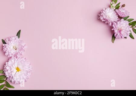 Creative composition with pink flowers and place for text, Stock Photo