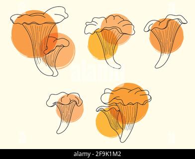Line art set of chanterelle mushrooms with orange paint spots. Cottage core with a color accent Stock Vector