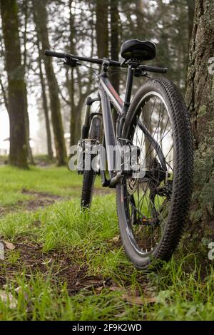 detail of the parts of a bicycle that is nestled against a tree in the middle of a forest, lifestyle with outdoor adventures Stock Photo