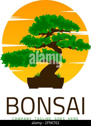 Logo Design Vector Bonsai Stock Vector