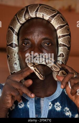 Marc cares for around 50 royal pythons in the temple - something his family has done for generations. OUIDAH, BENIN: MEET THE man who looks after a te Stock Photo