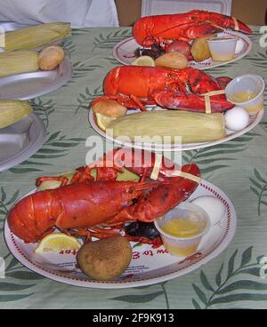 American lobsters (Homarus americanus) dominate the paper plates in a restaurant that hold a popular meal known as a “lobster boil.” The food features the large crustacean and side dishes that often include corn-on-the-cob (here in its husk), red-skinned potatoes, hard-boiled eggs, dinner rolls and clams, plus melted butter in a small container and slices of lemon. Found along the northern coast of North America, this delicious seafood is known variously as Maine, Canadian, Atlantic, Northern and true lobster. Normally greenish-brown in color, these decapods turn very red when boiled to eat. Stock Photo