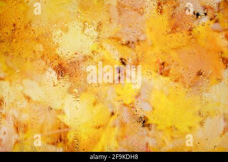 Background fallen yellow maple leaves behind wet glass in drops after rain Stock Photo