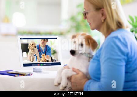 Online deals vet chat