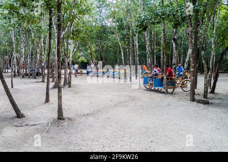 COBA, MEXICO - MARCH 1, 2016: Pedi-trikes (bicycle taxi) riders wait for tourists at the ruins of the Mayan city Coba, Mexico Stock Photo