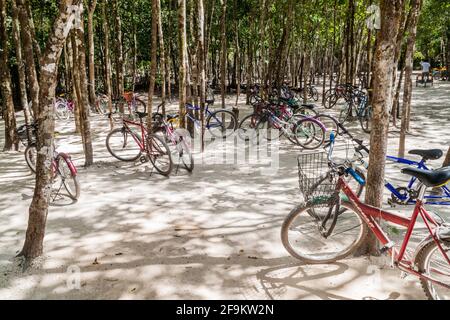 COBA, MEXICO - MARCH 1, 2016: Bicycles for rent at the ruins of the Mayan city Coba, Mexico Stock Photo