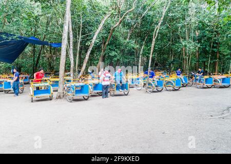 COBA, MEXICO - MARCH 1, 2016: Pedi-trikes bicycle taxi riders wait for tourists at the ruins of the Mayan city Coba, Mexico Stock Photo