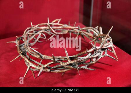 A thorny wreath on a red background Stock Photo