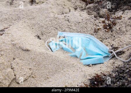 A discarded pale blue surgical medical face mask lying in the sand on a beach in Barbados, surrounded by seaweed. Partially buried. Concept. Stock Photo