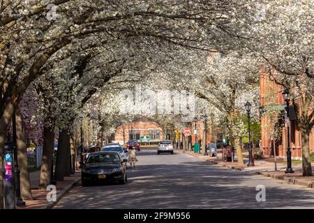 Franklin Square is a former industrial neighborhood, turned residential and commercial, in Syracuse New York. Stock Photo