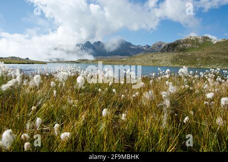 Blick auf die Laghi Boden, Bergseen am nördlichen Ende des Val Toggia in den italienischen Alpen Stock Photo
