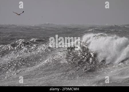 Stormy breaking sea wave against dark sky. Northern portuguese coast during winter. Stock Photo