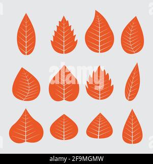 Autumn leaves vector set. Different orange leaves collection flat vector illustration. red leaves set with flat design style Stock Vector