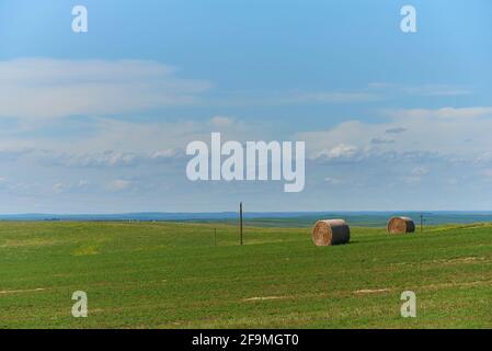 Green grassy farmland in the Great Plains South Dakota Stock Photo